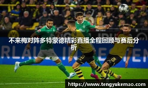 不来梅对阵多特蒙德精彩直播全程回顾与赛后分析