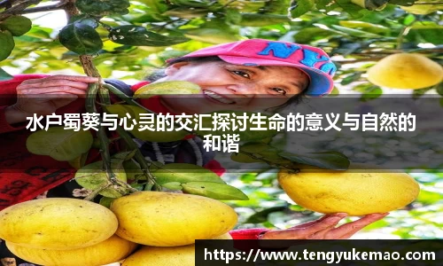 水户蜀葵与心灵的交汇探讨生命的意义与自然的和谐