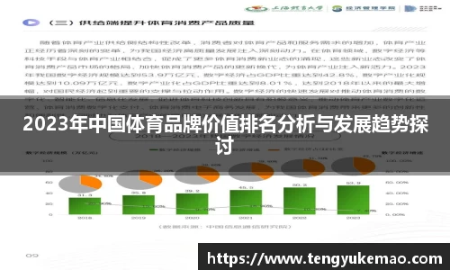 2023年中国体育品牌价值排名分析与发展趋势探讨